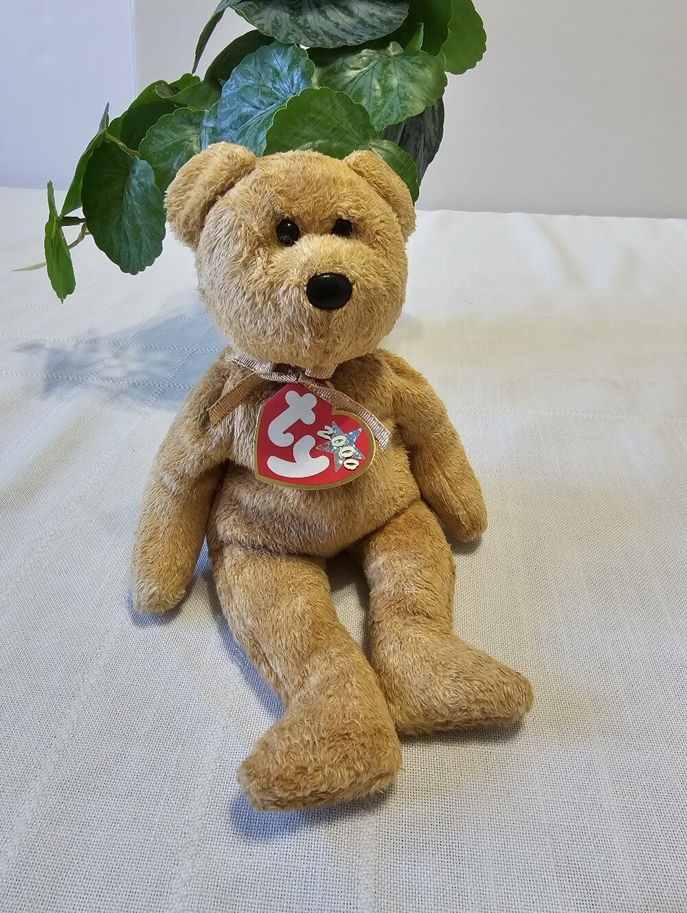 TY Beanie Baby Cashew Bear 2000 Retired Plush with Tag